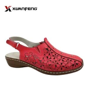 Lady Shoes New and Fashion Shoes Female Outing Shoes